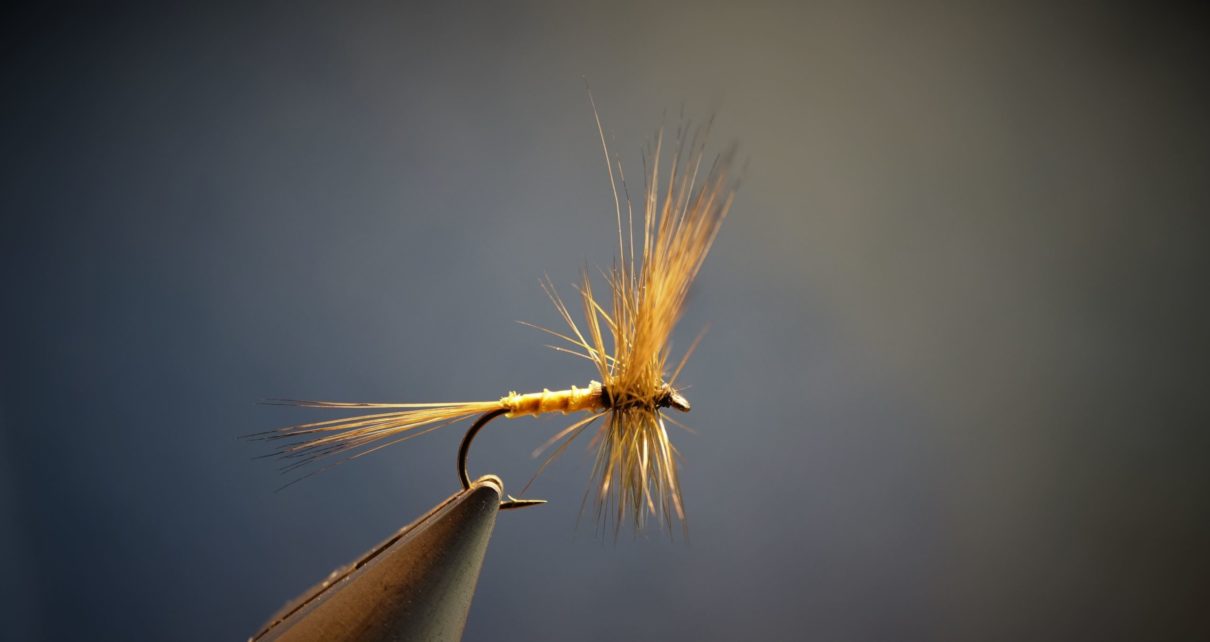 gallica fly dry flytying olive hackle rooster mouche eclosion