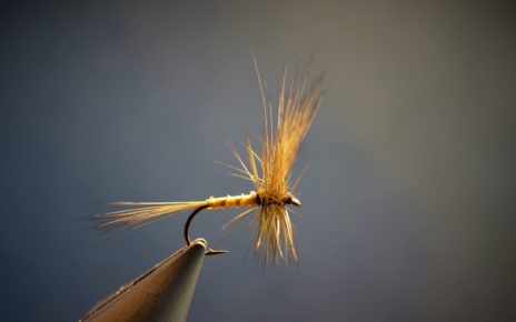 gallica fly dry flytying olive hackle rooster mouche eclosion