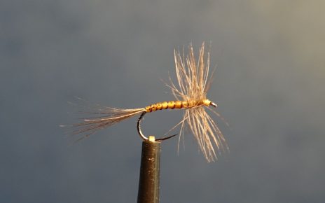 Araignée spider mouche dry fly flytying eclosion limousin rooster hackle coq eclosion