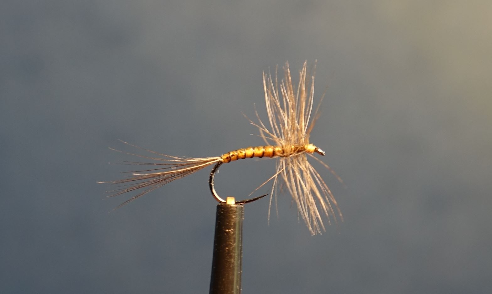 Araignée spider mouche dry fly flytying eclosion limousin rooster hackle coq eclosion