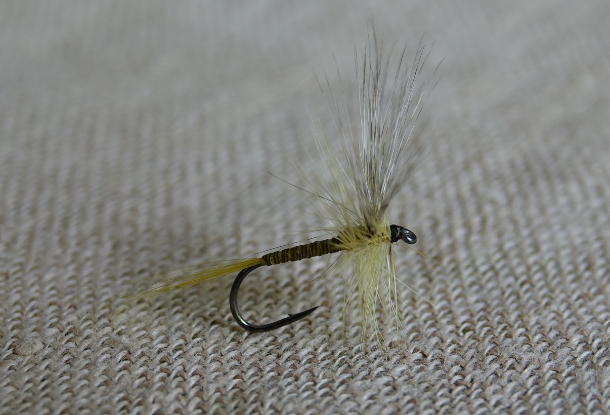 Gallica 6 olive fly mouche dry flytying eclosion