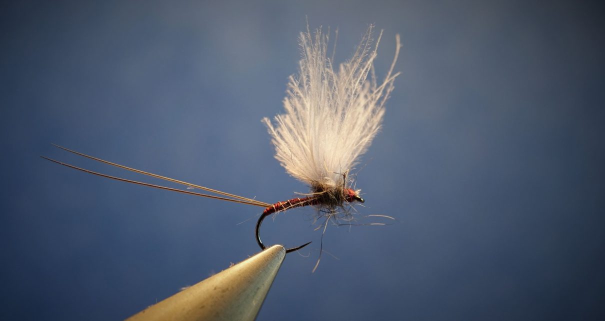 tails cerques pardo microfibetts dry fly mouche flytying eclosion