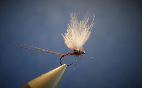 tails cerques pardo microfibetts dry fly mouche flytying eclosion