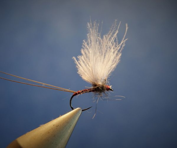 tails cerques pardo microfibetts dry fly mouche flytying eclosion