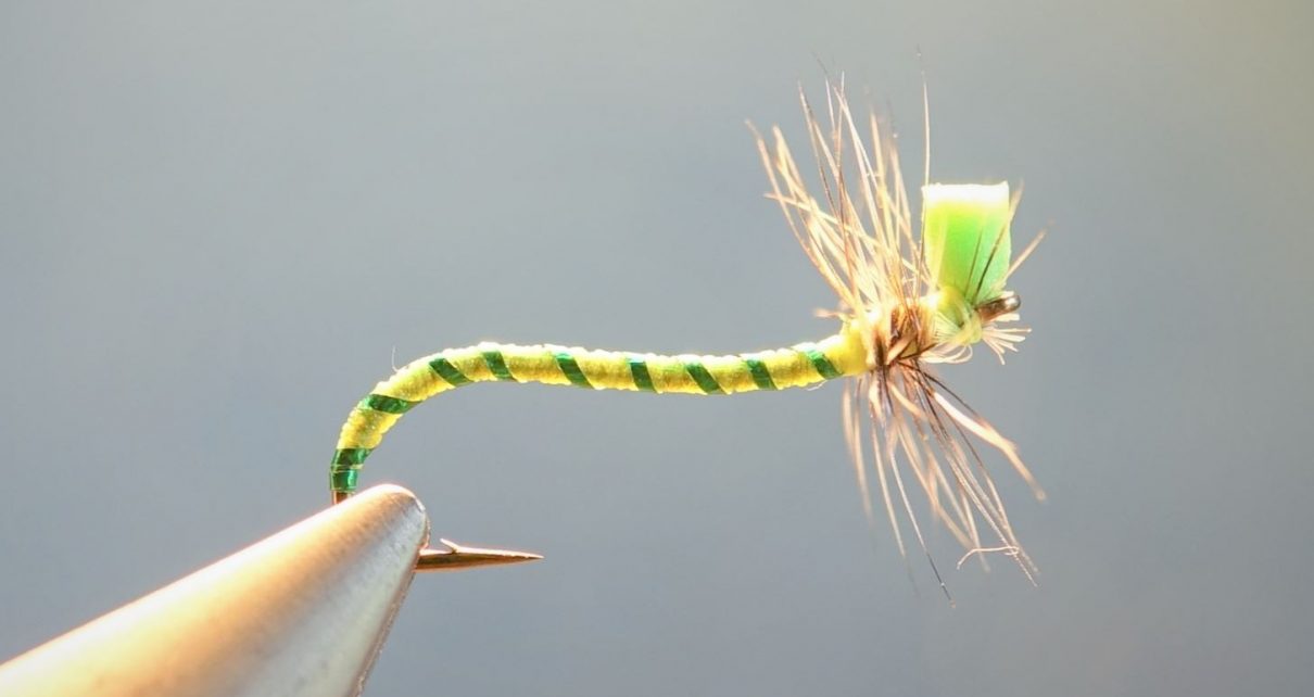 tordeuse chenille caterpillar dryfly mouche flytying eclosion