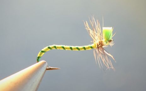 tordeuse chenille caterpillar dryfly mouche flytying eclosion