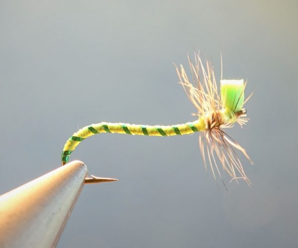 tordeuse chenille caterpillar dryfly mouche flytying eclosion