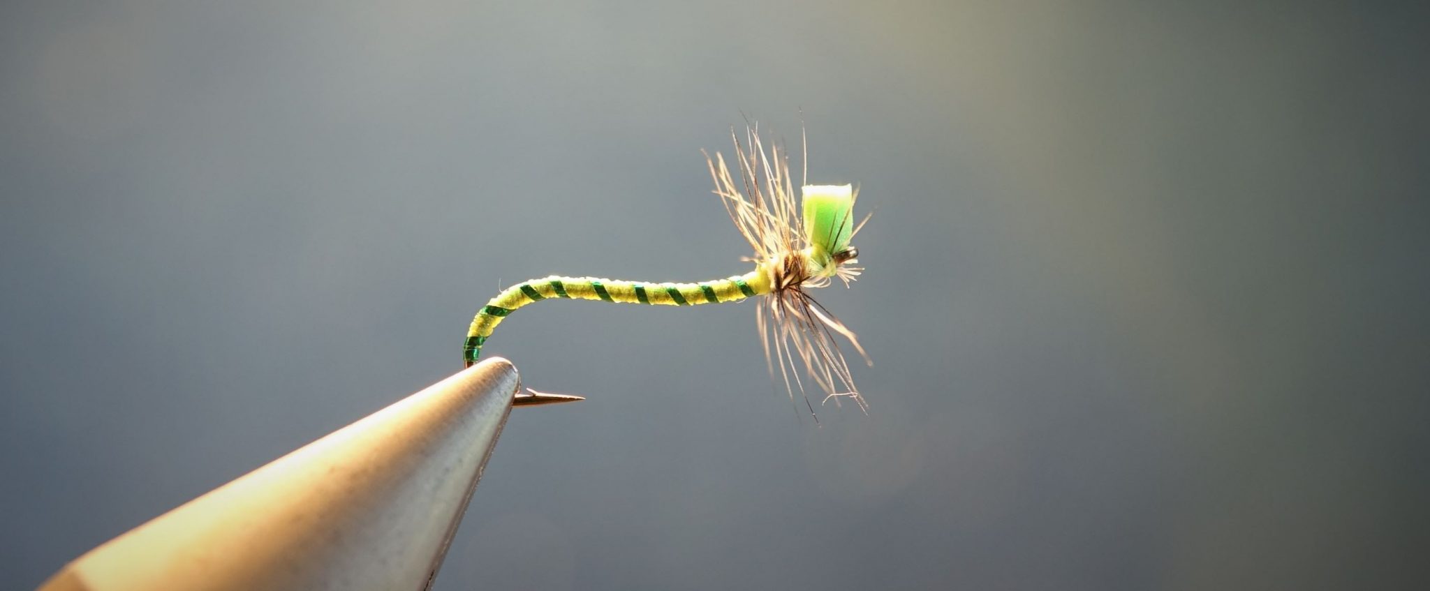 tordeuse chenille caterpillar dryfly mouche flytying eclosion