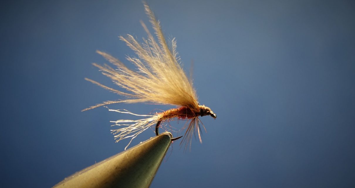 emergente emergent fly mouche flytying eclosion