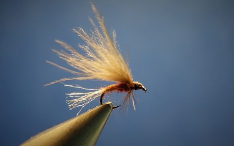 emergente emergent fly mouche flytying eclosion