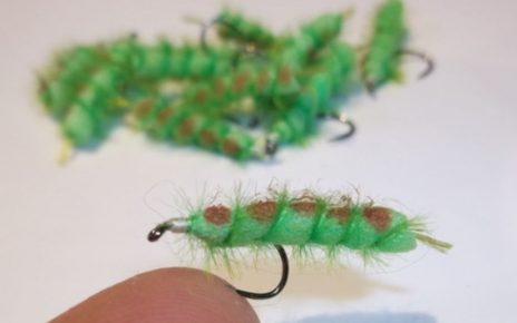 Chenille verte caterillar terrestre terrestrial mouche fly flytying eclosion