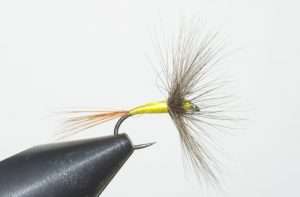 hackle dryfly mouche flytyting Eclosion