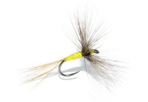A4 hackle dryfly mouche flytyting Eclosion