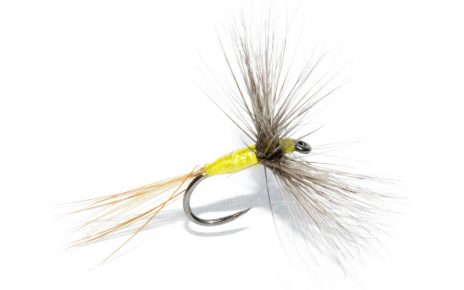 A4 hackle dryfly mouche flytyting Eclosion