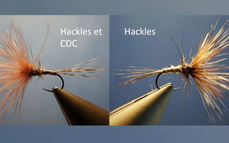 araignée A4 spider hackle coq montage avancé CDC fly dry flytying eclosion