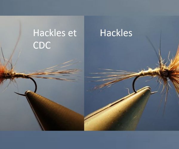 araignée A4 spider hackle coq montage avancé CDC fly dry flytying eclosion