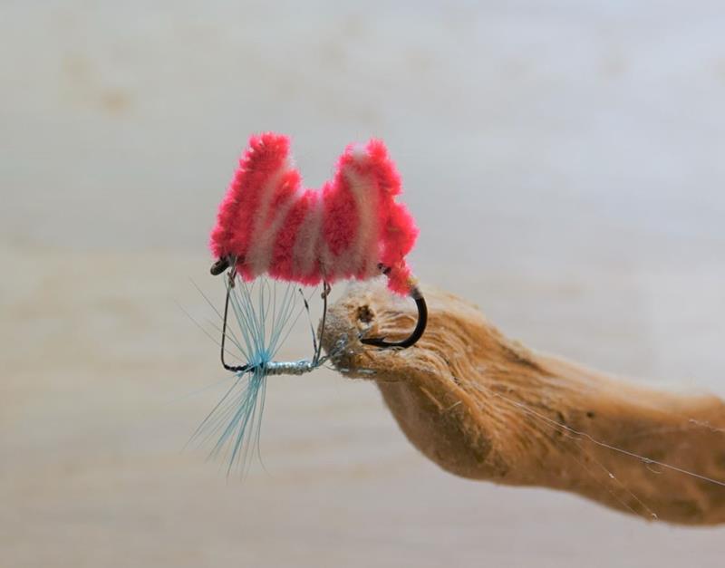 Mouche de cirque