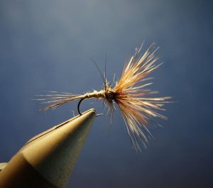 araignée A4 spider hackle coq montage avancé fly dry flytying eclosion