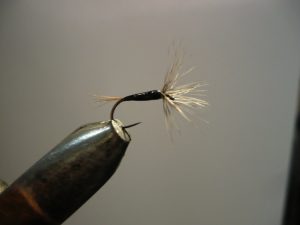 A4 noire mouche sèche dry fly flytying lake lac montagne mountain Eclosion 