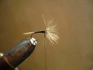 A4 noire mouche sèche dry fly flytying lake lac montagne mountain Eclosion 