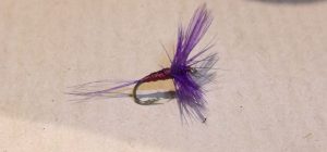 A4 No. 811 dry fly tying mouche seche violet violine purple montage avancé eclosion