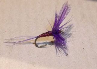 A4 No. 811 dry fly tying mouche seche violet violine purple montage avancé eclosion