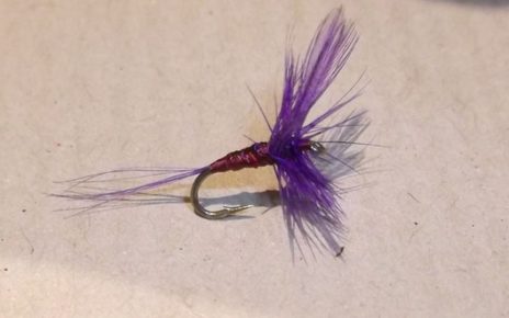 A4 No. 811 dry fly tying mouche seche violet violine purple montage avancé eclosion