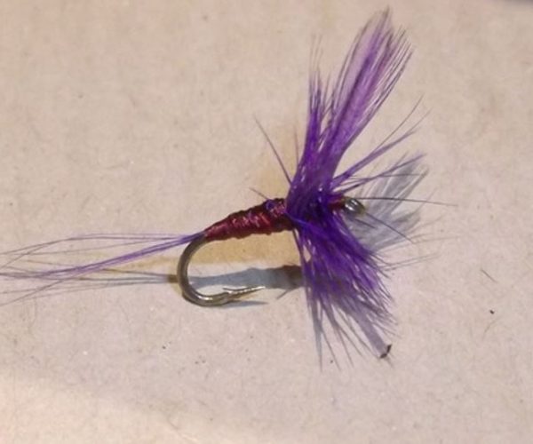 A4 No. 811 dry fly tying mouche seche violet violine purple montage avancé eclosion