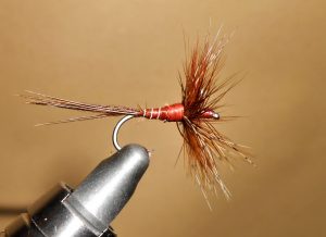 A4 M March Brown Montage avancé héron33 dry fly mouche fly tying eclosion 