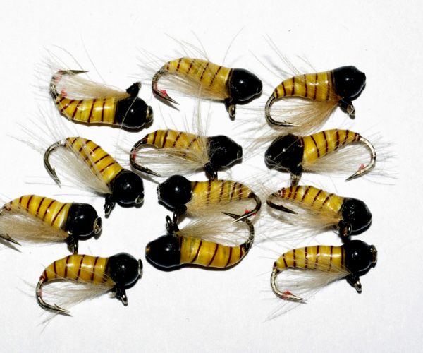 perdigon de plomb flytying nymphe portebois nymph Éclosion