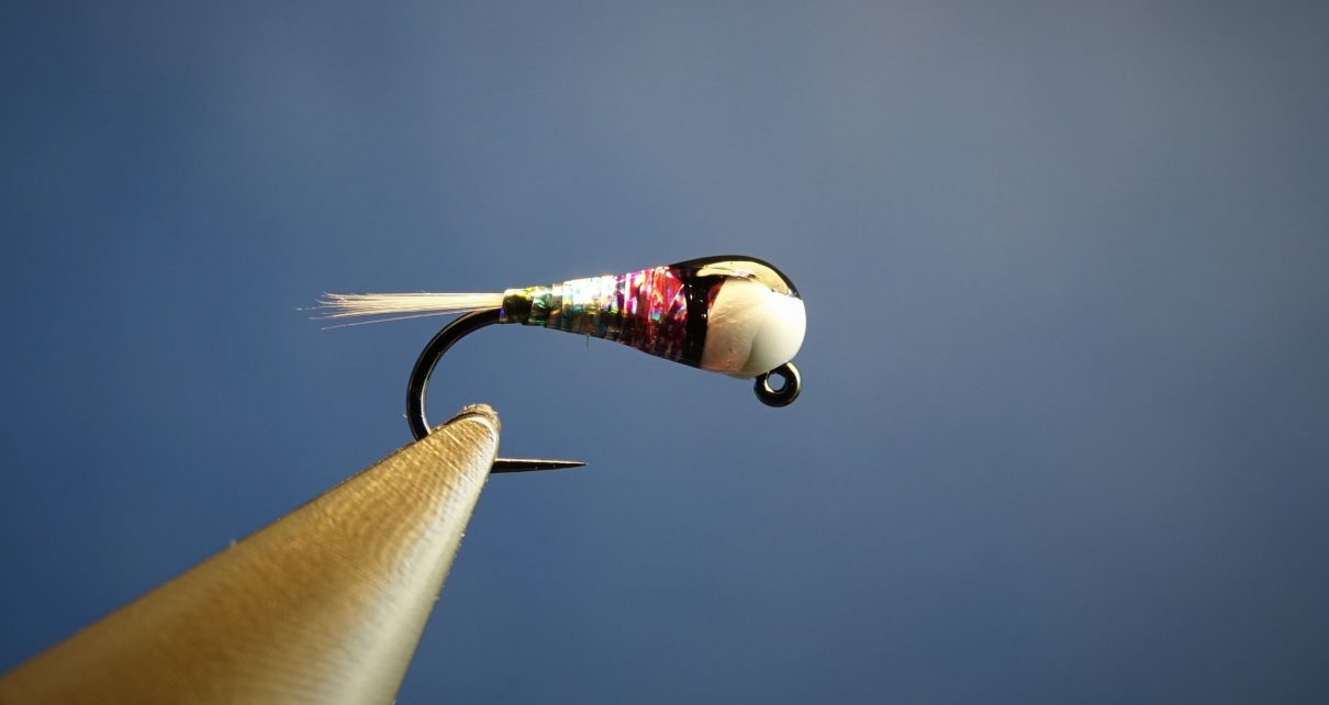 grayling ombre perdigon nymphe nymph mouche fly tying blanc white Eclosion