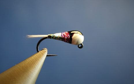 grayling ombre perdigon nymphe nymph mouche fly tying blanc white Eclosion