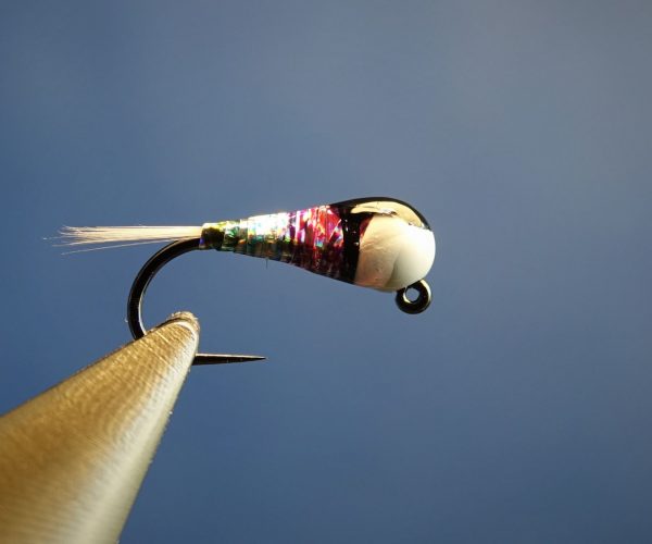 grayling ombre perdigon nymphe nymph mouche fly tying blanc white Eclosion