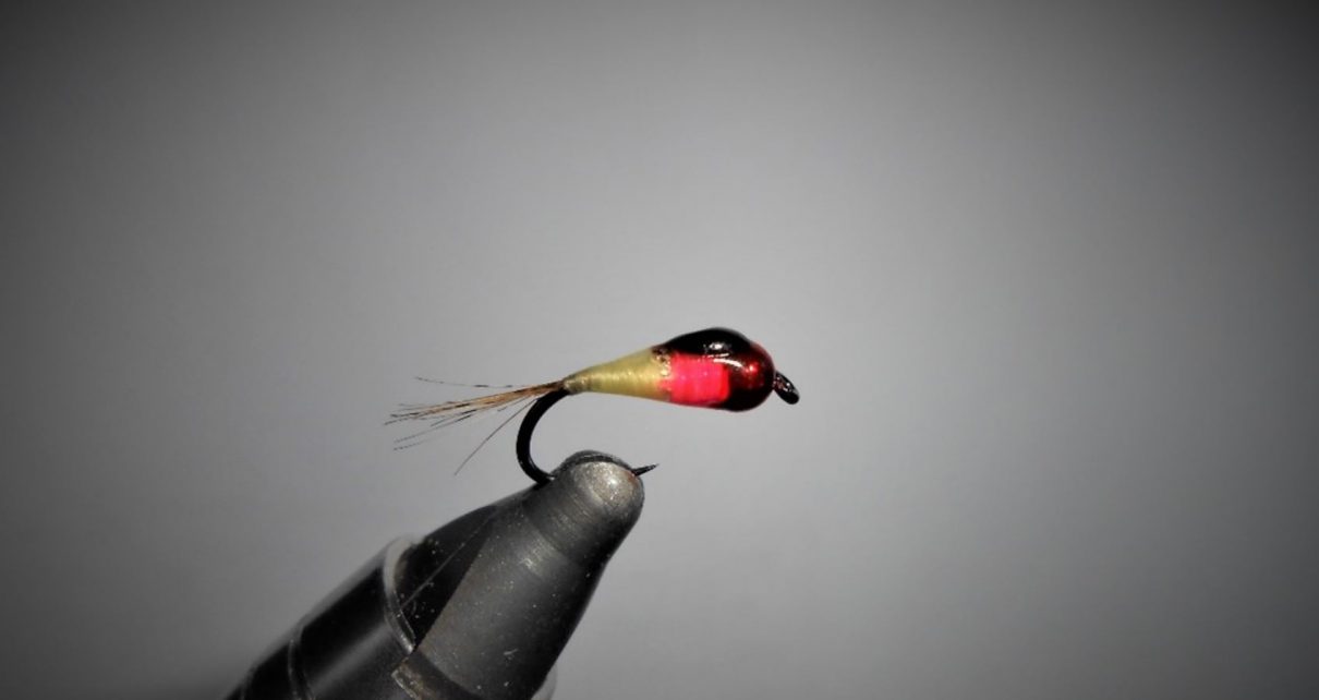 Perdigon perdigone perdigones mouche nymphe nymph fly tying Eclosion