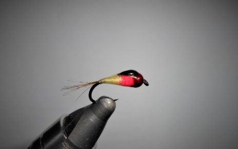 Perdigon perdigone perdigones mouche nymphe nymph fly tying Eclosion