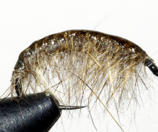 Gammare nymphe nymph fly flytying eclosion mise en avant