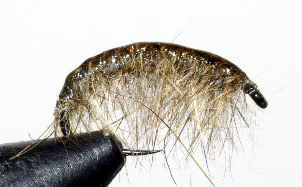 Gammare nymphe nymph fly flytying eclosion mise en avant