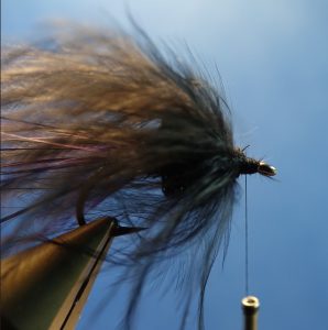 Chokklett' sangsue leech streamer fly flytying Eclosion