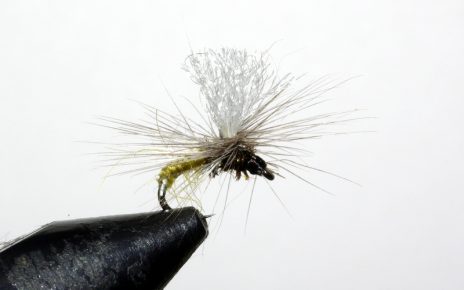 Klinkhammer olive mouche emergente fly flytying Eclosion