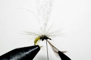 Klinkhammer olive mouche emergente fly flytying Eclosion