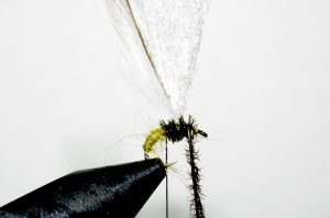 Klinkhammer olive mouche emergente fly flytying Eclosion