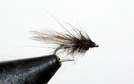 Gnat Delta mouche fly dryfly flytying eclosion