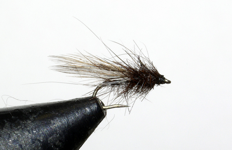 Gnat Delta mouche fly dryfly flytying eclosion