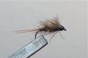 ORL oreille de lièvre ODL hare's ear emergente flytying fly eclosion 3