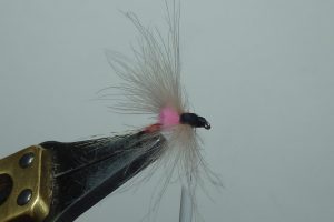 MP81 mouche spent fly flytying Eclosion 