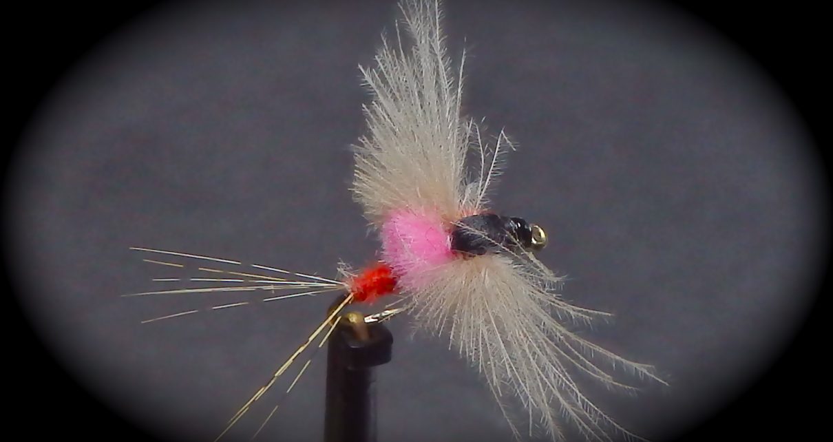 MP81 mouche spent fly flytying Eclosion