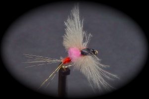 MP81 mouche spent fly flytying Eclosion 