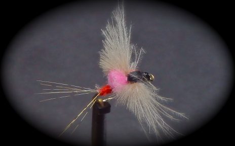 MP81 mouche spent fly flytying Eclosion