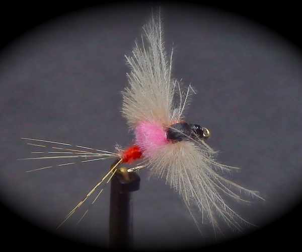 MP81 mouche spent fly flytying Eclosion