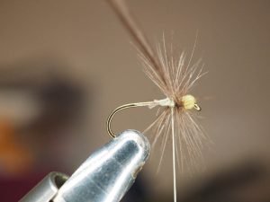 A4 dry fly araignée spider flytying hackle Eclosion